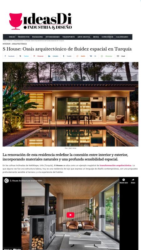 S House in International Websites_None