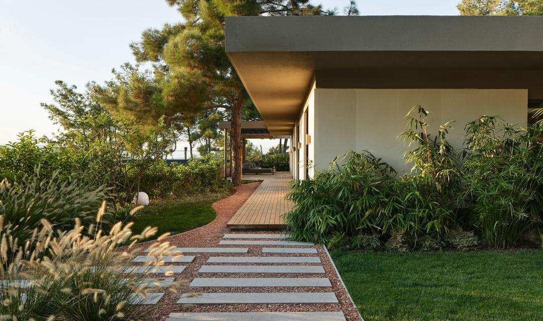 S House